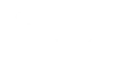 Queensland Ocean Tour Guide|Into the Blue